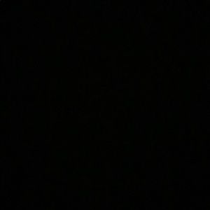 Meet your Posher, Maggie